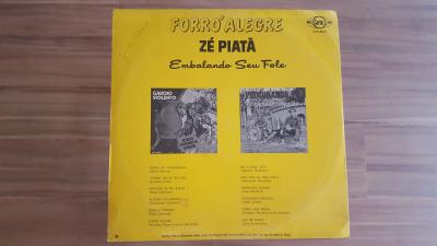 Prefiro Vinil Lp 12 Forro Alegre Ze Piata lp 12 forro alegre ze piata